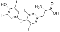 L-甲状腺素